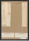 Rhizosolenia setigera Brightw. (de-Toni-Nr.: Genus 114, Species 3301) Zeichnungen Sammlung Grunow Nr. 6685 (NHMW-BOT-W0375482)